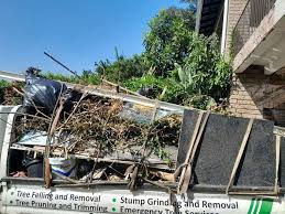 Professional Junk Removal Services in Medina, WA